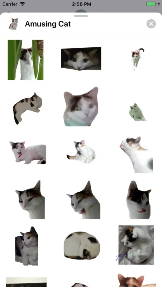 تصاویر Amusing Cat Sticker Pack