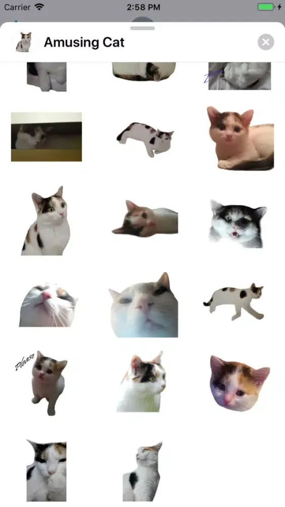 تصاویر Amusing Cat Sticker Pack