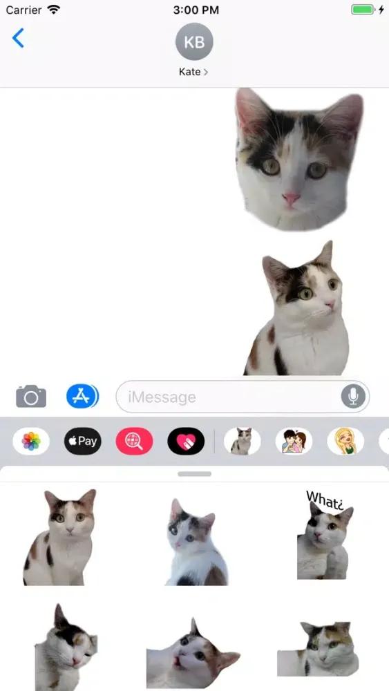 تصاویر Amusing Cat Sticker Pack