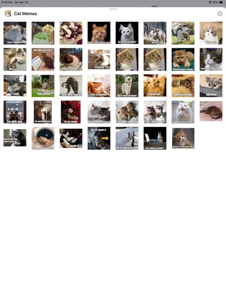 Capturas de tela do Cat Memes Sticker Pack iPad 