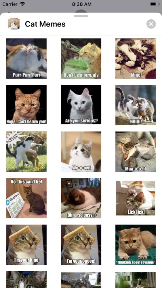 Capturas de tela do Cat Memes Sticker Pack
