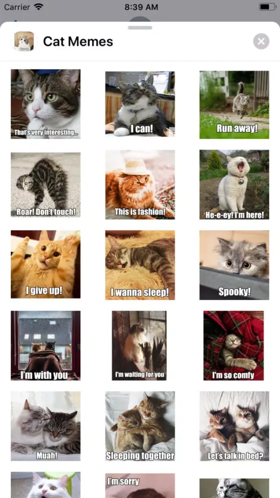 Capturas de tela do Cat Memes Sticker Pack