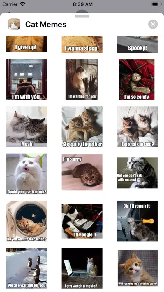 Capturas de tela do Cat Memes Sticker Pack