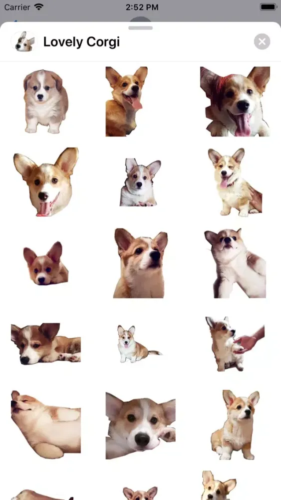 Capturas de tela do Lovely Corgi Sticker Pack