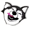 Cute Husky Sticker Pack