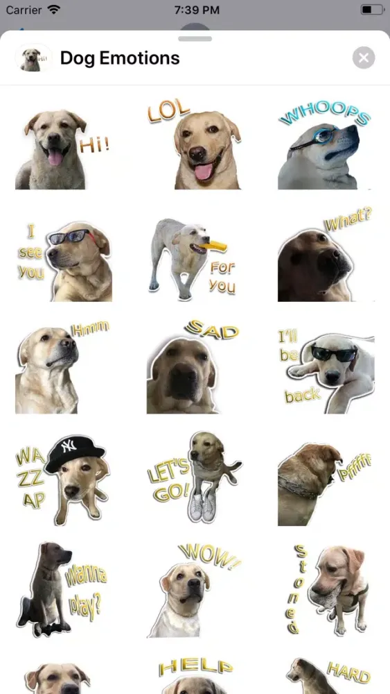 Capturas de tela do Dog Emotions Sticker Pack