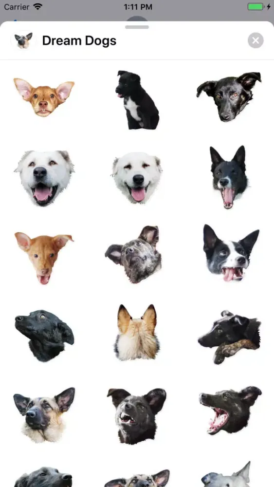 Dream Dogs Sticker Pack Ekran Görüntüleri