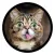 Funny Cats Sticker Pack