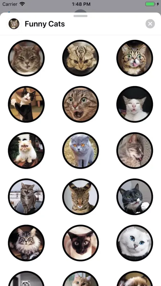 Funny Cats Sticker Pack Screenshots
