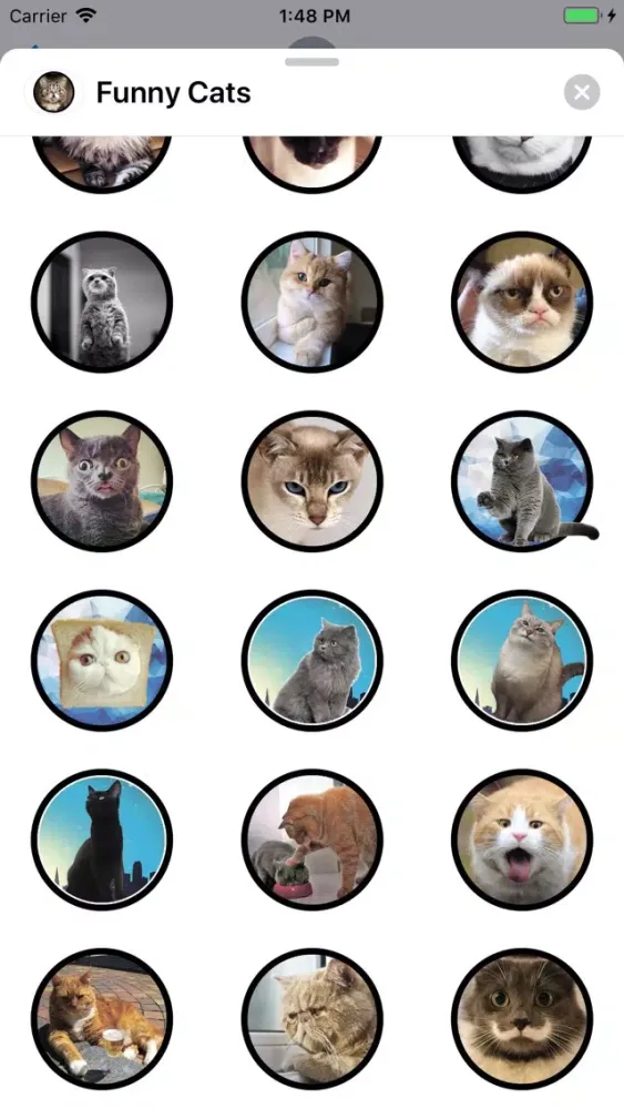 Funny Cats Sticker Pack Screenshots