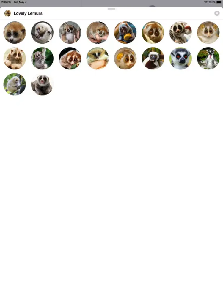 Lovely Lemurs Sticker Pack iPad 應用截圖