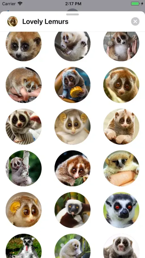 Lovely Lemurs Sticker Pack應用截圖