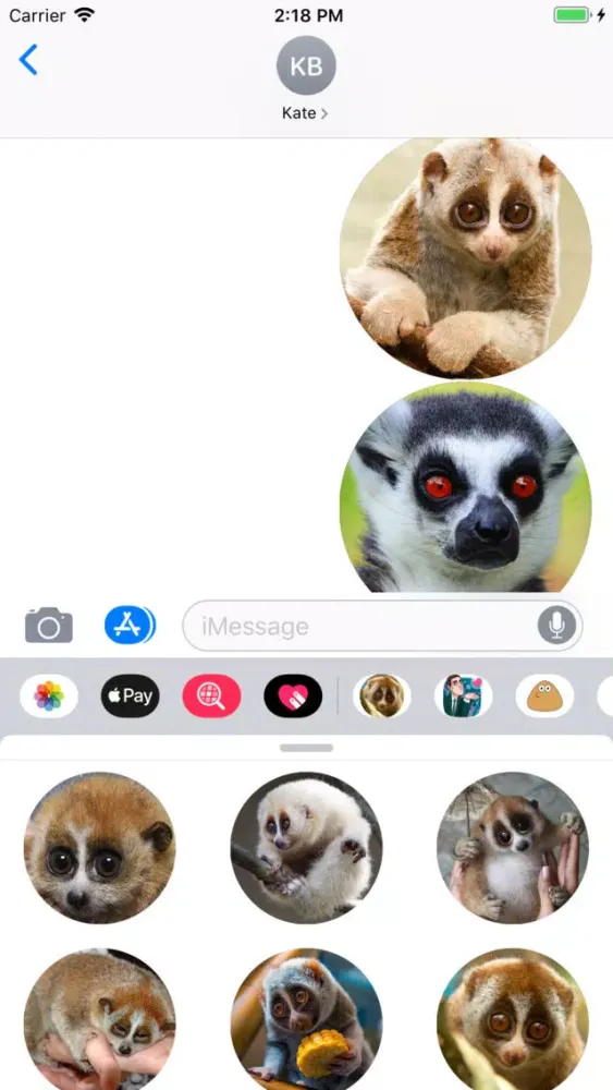 Lovely Lemurs Sticker Pack應用截圖