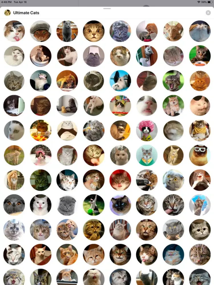 Ultimate Cats Sticker Pack iPad  Screenshots