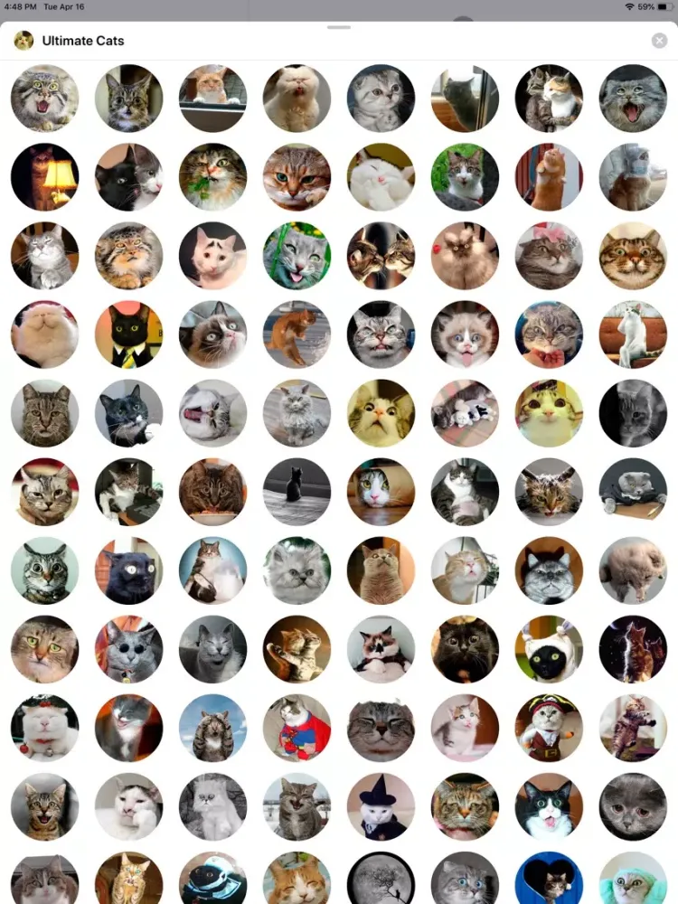 Ultimate Cats Sticker Pack iPad  Screenshots