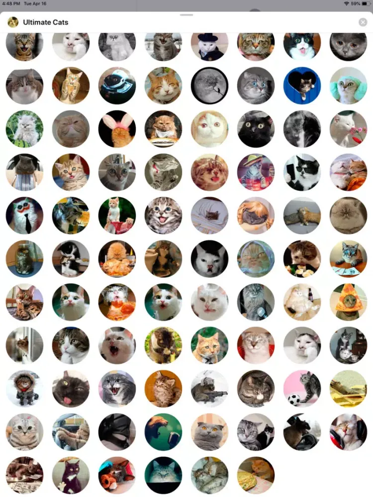 Ultimate Cats Sticker Pack iPad  Screenshots