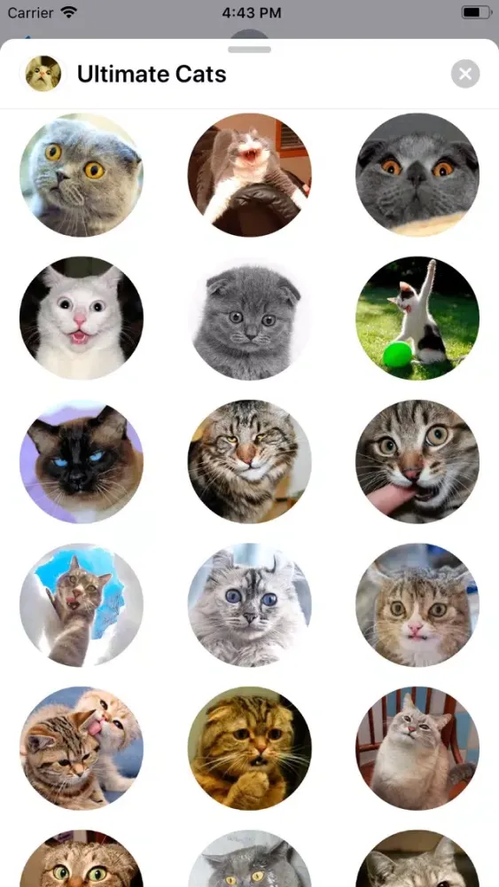 Ultimate Cats Sticker Pack Screenshots