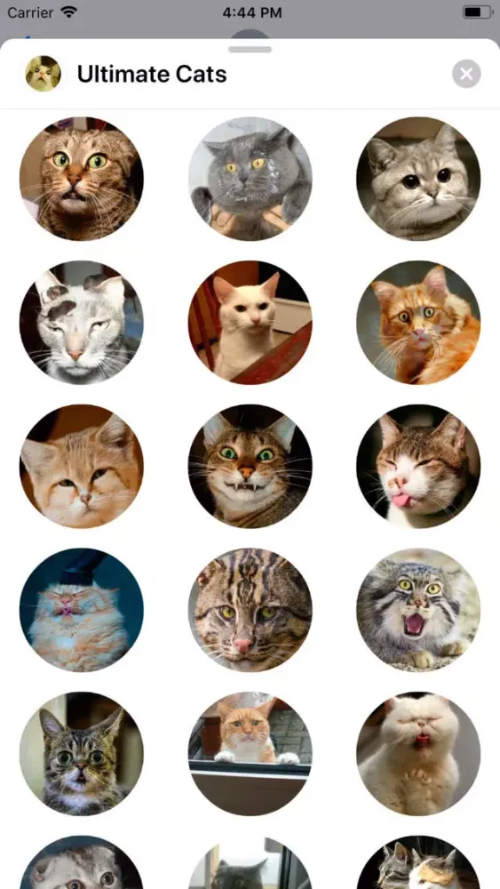Ultimate Cats Sticker Pack Screenshots