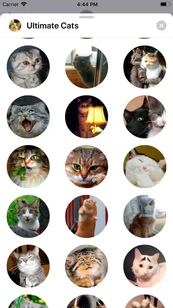Ultimate Cats Sticker Pack Screenshots