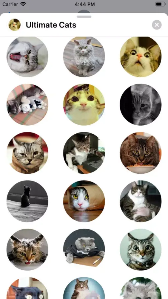 Ultimate Cats Sticker Pack Screenshots