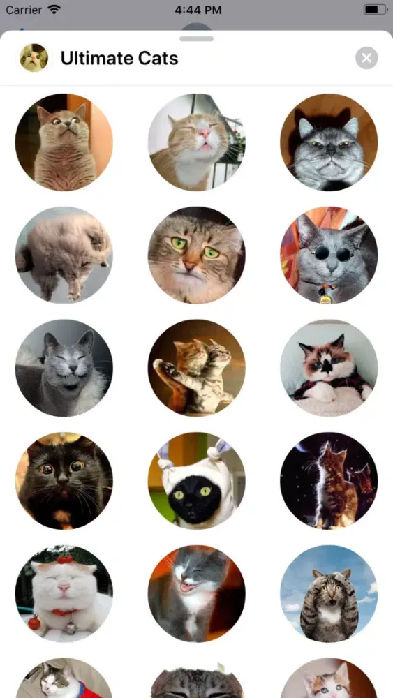 Ultimate Cats Sticker Pack Screenshots