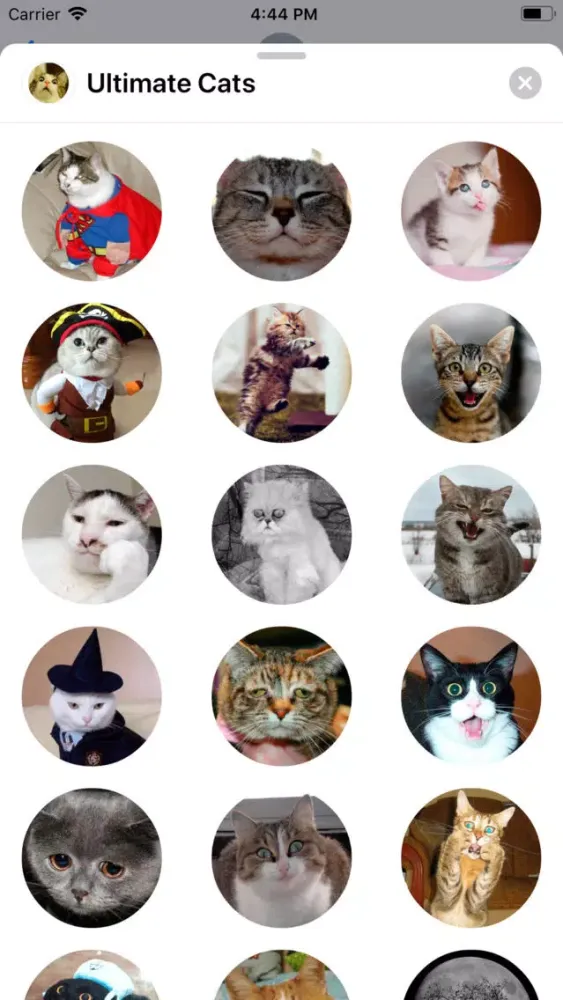 Ultimate Cats Sticker Pack Screenshots
