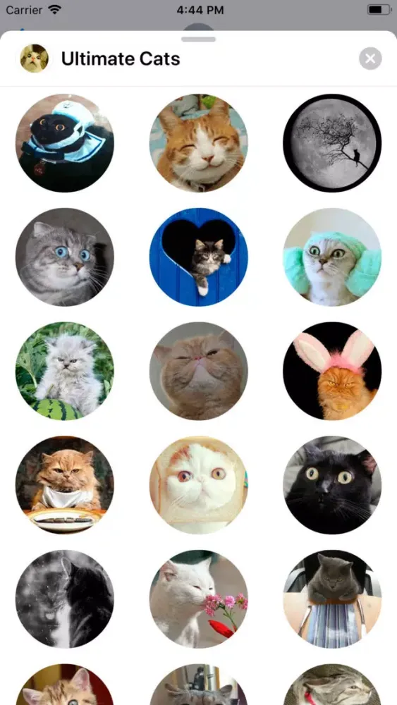 Ultimate Cats Sticker Pack Screenshots
