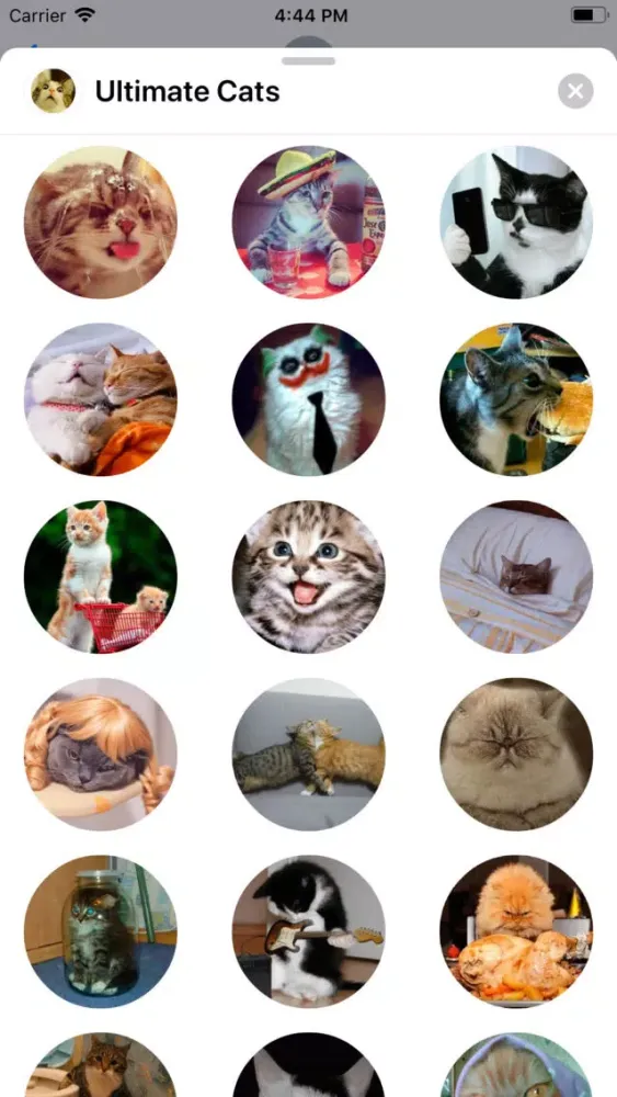 Ultimate Cats Sticker Pack Screenshots