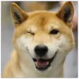 Ultimate Dogs Sticker Pack Ultimate Dogs Sticker Pack