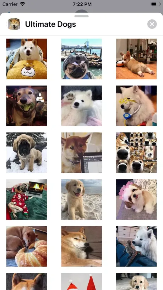 Capturas de pantalla de Ultimate Dogs Sticker Pack