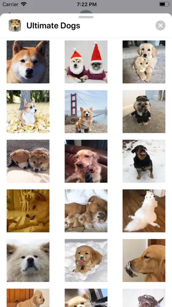 Capturas de pantalla de Ultimate Dogs Sticker Pack