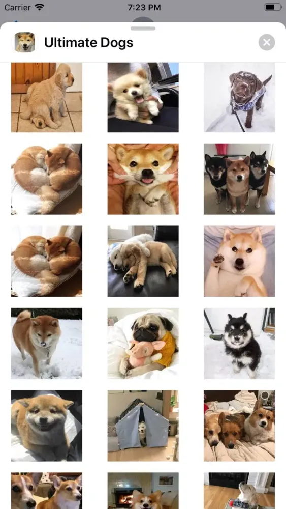 Capturas de pantalla de Ultimate Dogs Sticker Pack
