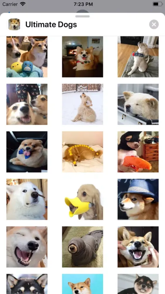 Capturas de pantalla de Ultimate Dogs Sticker Pack