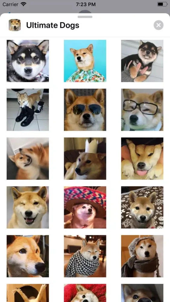 Capturas de pantalla de Ultimate Dogs Sticker Pack