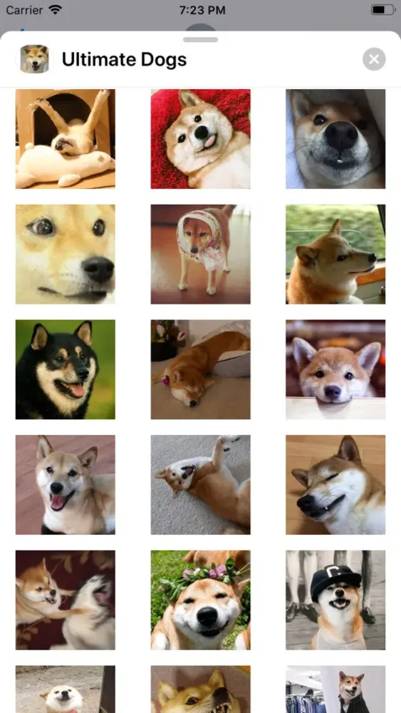 Capturas de pantalla de Ultimate Dogs Sticker Pack