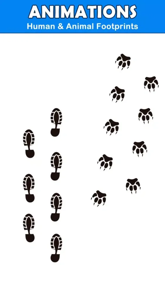صور Animated Footprint Stickers