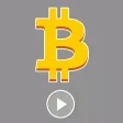 Bitcoin Frenzy Stickers