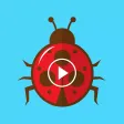 Crawly Bugs Animated Stickers