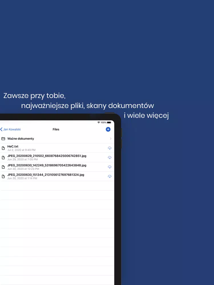 Tangkapan skrin Filing Cabinet iPad 