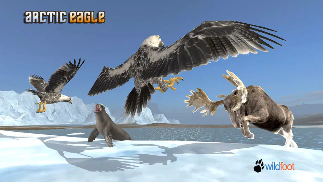 تصاویر Arctic Eagle