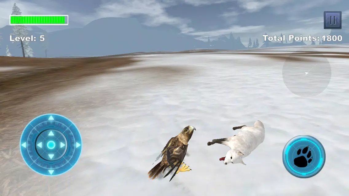 تصاویر Arctic Eagle