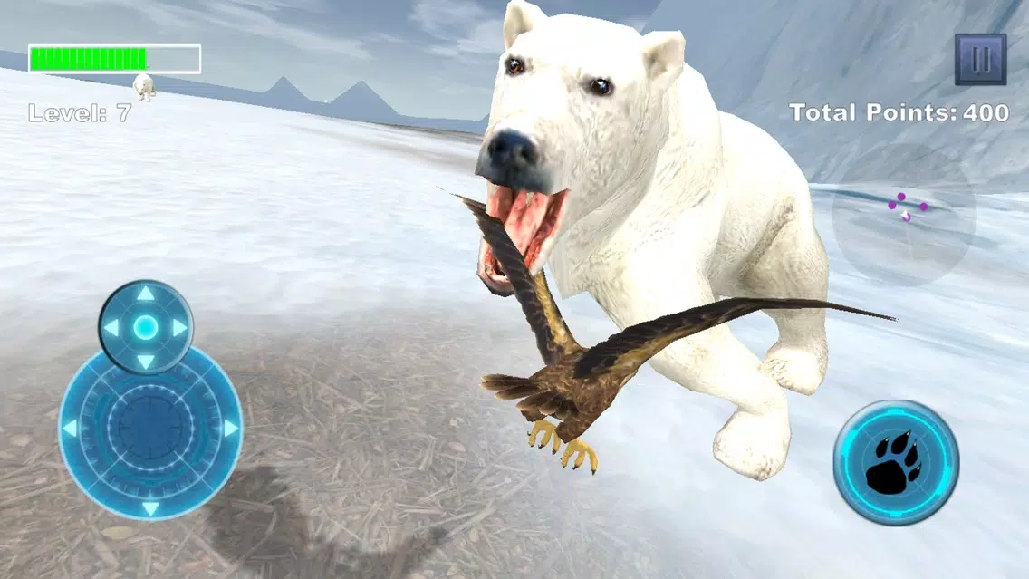 تصاویر Arctic Eagle