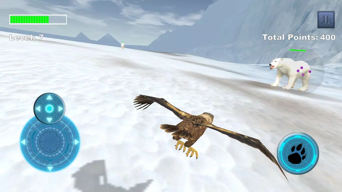تصاویر Arctic Eagle