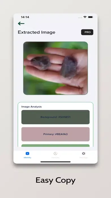 ภาพหน้าจอของ AI Color Analysis | Palette