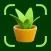 Plant Disease Identifier AI