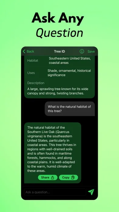 Tree Identifier AI: TreeIQ Screenshots