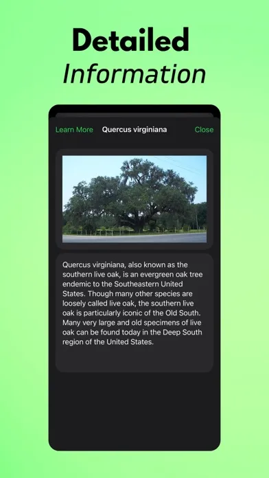Tree Identifier AI: TreeIQ Screenshots