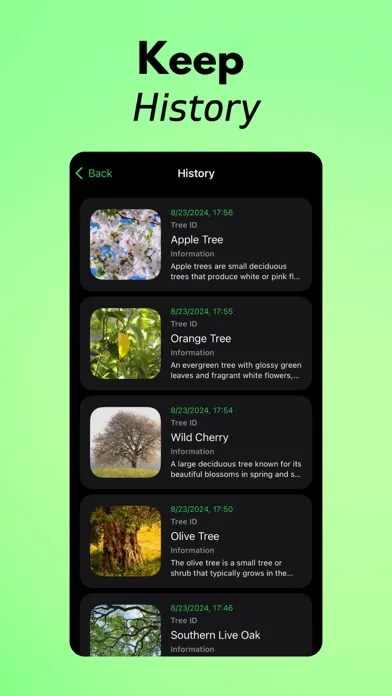 Tree Identifier AI: TreeIQ Screenshots
