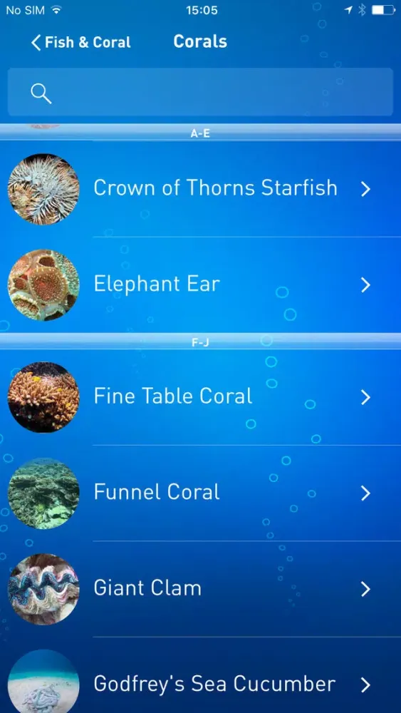 تصاویر Koh Tao Dive Guide