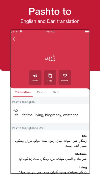 Screenshot di Qamoos Dictionary